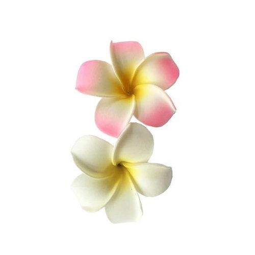2 Pcs 7Cm White and Pink Hawaiian Frangipani Plumeria Clips and Barrettes Foam Head Flower Party Beach Hair Clips Hair Accessories Personal Care