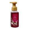 Bath & Body Works 'Tis The Season 2 Pack Gentle Foaming Hand Soap Bundle with a Natural Oats Sample Soap