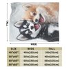 Citoir Dog Fleece Blanket Husky Throw Blanket Snow Animal Fuzzy Blanket for Dog Lover Gift Women Adult Kids Christmas Stuffed Decor for Home Bed Sofas Couch 50"x40"