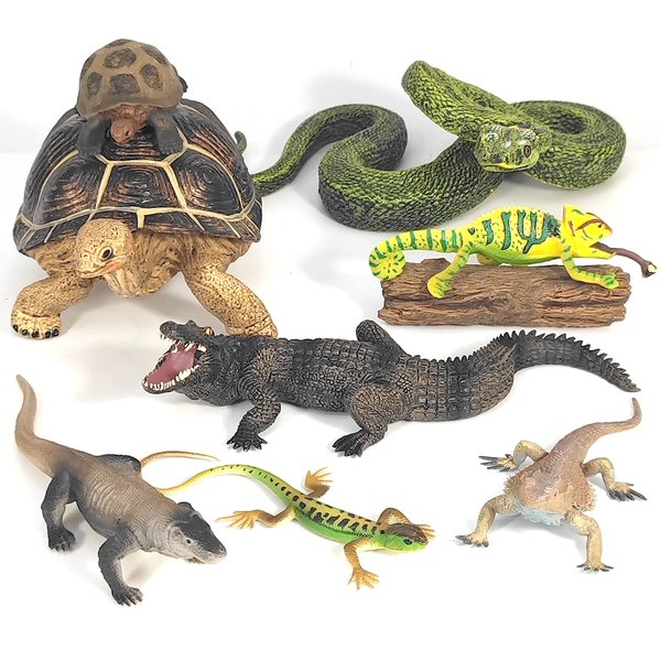 Fantarea 9 PCS Wild Animal Model Figures Geochelone Tortoise Lizard Chameleon Python Crocodile Komodo Dragon Central Bearded Dragon Figurines Decoration Toys for Childrens