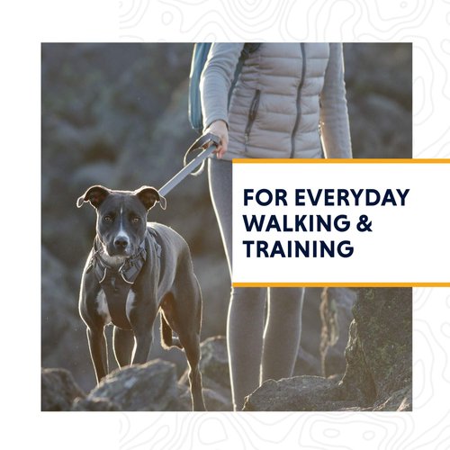 Ruffwear, Front Range Dog Harness, Reflective and Padded Harness for Training and Everyday, Twilight Gray, Small