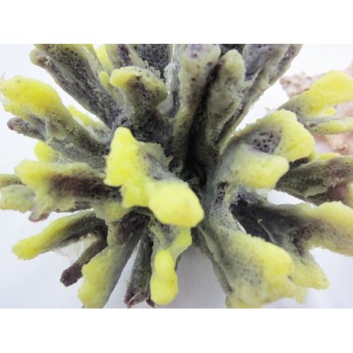 Aquarium Fish Tank Silicone Sea Anemone Artificial Coral Ornament SH083purple