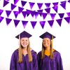 Purple Party Decorations Triangle Pennant Banner Flag Dark Purple Metallic Fabric Bunting Garland for Graduation Wedding Bridal Shower Birthday Anniversary Holiday Halloween Disco Party Supplies