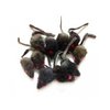 emours 12 Piece Pack Rattle Furry Mice Cat Toy Realistic Fur Mice Toys, Grey