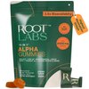 ROOT LABS 10-in-1 Alpha Shilajit Gummies | 4000 mg Pure Himalayan Shilajit, Tongkat Ali, Maca Root, 75% Fulvic Acid | ShilAbsorb Bioavailability Tech | Sugar-Free Vegan, 85+ Trace Minerals | 120 Pack