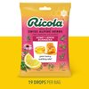Ricola HoneyLemon with Echinacea Cough Suppressant Throat Drops, 19 Count (Pack of 1)