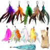 LogFaadCoi 10-Pack of Vibrant Feathered Cat Toy Refills: Perfect Wand Attachments for Indoor Cats, Enhance Your Pet's Playtime with These Exciting Replacement Feather Cat Toys