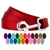 Country Brook Petz - Nylon Dog Leash - Strong, Durable, Traditional Style Leash with Easy to Use Snap - 25+ Colors (5/8 Inch Wide, 4 Foot, Red)