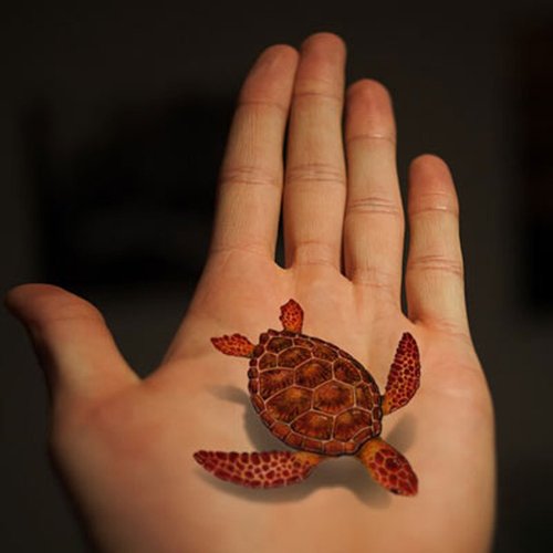 TAFLY Transfer Tattoo 3D Fish Turtle Reptile Body Art Stickers 5 Sheets