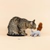 Fringe Studio "ONE TUFF NUT Teaser Cat Toy, PetShop Collection (717001)