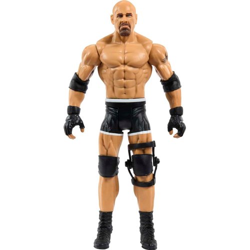 Mattel WWE Goldberg Basic Action Figure, 10 Points of Articulation & Life-like Detail, 6-inch Collectible