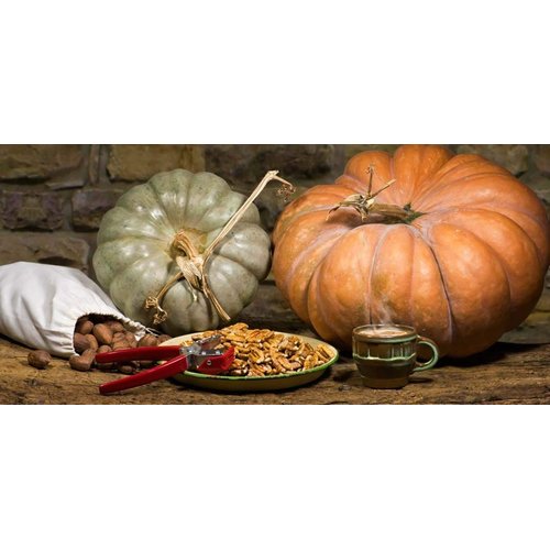 The Texan York Nut Sheller – One Nut Cracker, Tempered Steel Pack of 1