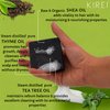 Kirei Shampoo Bar, 2-in-1 Shampoo & Conditioner Bar, Detoxifying, Deep Cleansing, Hydrating Shampoo bar for All Hair Types, Activated Charcoal, Tea Tree/Shea/Thyme, All Natural & Vegan SEIJAKU 100g