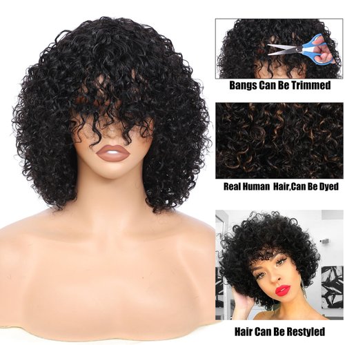 LYOLKSER wigs human hair 200 density short curly human hair wig with bangs 100% human hair no lace human hair wigs for women 12 inch black color,gift for mom,for birthday,for travel.for party.