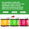 Yerba Mate Gummies - Yuzu & Ginger Flavor for Energy, Focus, Immunity & Cardio Health | Vegan, Non-GMO, Gluten-Free - 50 Natural Supplement Gummies