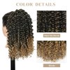 Ponytail Extension Drawstring Ponytail for Black Women 14 Inch Blonde Curly Drawstring Ponytail Extensions Synthetic with 2 Clips on Ponytail Hair Extensions (1B/27#)