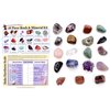 Rock and Mineral Educational Collection & Deluxe Collection Box -18 Pieces with Description Sheet and Educational Information. Limited Edition, Geology Gem Kit for Kids with Display Case, Dancing Bear