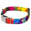 Country Brook Petz - Paint Splatter Premium Dog Collar - Groovy Collection with 12 Far Out Designs (1 Inch, Medium)