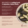 RELEVATE Patent-Pending Brain Health Supplement; Memory, Focus, Energy, Sleep, Eyes & Healthy Aging; Doctor Formulated; Quercetin, Lutein, Magnesium Glycinate, Omega 3 DHA EPA, Vitamins B12, B3, D3
