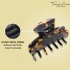 French Amie Chic Tokyo Handmade Medium 2.25 Inch Celluloid Jaw Hair Claw Clip