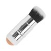 Oil absorbing Volcanic Roller, Reusable Portable Oily Skin Control Roller, Results Remove Excess Shine Rolling Stone with Brush for Oily Skin Care Oil Blotting Sheets