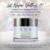 SNS Nail Dip Powder, Gelous Color Dipping Powder - Quiet Opulence (Blue/Baby Blue, Cream) - Long-Lasting Dip Nail Color Lasts 14 Days - Low-Odor & No UV Lamp Required - 1oz