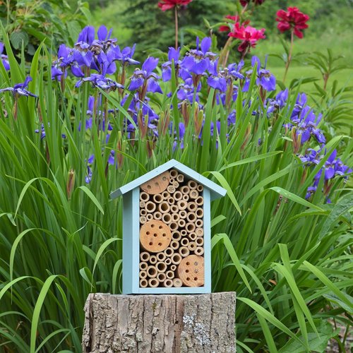 Nature's Way Bird Products PWH1-C Teal Bee House