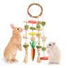 Jorewood Rabbit Chew Toys Bunny Cage Hanging Toy and Treats Rattan Ring with Snacks for Rodent Pets Teeth Healthy