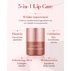 Christmas Gifts Sooryehan Tinted Lip Balm Lipcerin (0.5fl oz) -Korean Makeup. Plumping, Hydrating, Nourishing Lip Care for Dry, Chapped Lips. Peptides, Collagen, Shea Butter, Plant-Based Squalane.