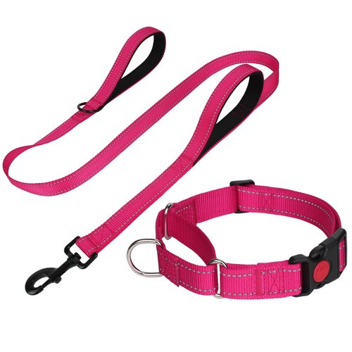 FunTags Reflective Martingale Collar for Dogs, Quick Release Buckle, 5FT Double Handle Dog Leash Padded, Dog Collar and Leash Set, Adjustable for Medium Dogs (Hotpink, M)