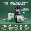 Micronized Creatine Monohydrate Powder - Post Workout Recovery Powder - Muscle, Strength and Energy Production - 5g Unflavored, Non-GMO, Vegan and Gluten Free Creatine Powder for Men - 60 Servings