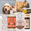 Natural Dog Company Oatmeal Shampoo for Dogs with Sensitive Skin, Ideal Anti Itch Dog Shampoo and Puppy Shampoo Oatmeal Itch Relief Dog Dandruff Shampoo, Aloe Itchy Skin Relief for Dogs 12 oz
