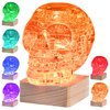 3D Skull Crystal Puzzle, Skull Assembly Brain Teaser with Light-Up Wood Base for Halloween Decorations Indoor, Plastic Skull DIY Puzzle Blocks 3D Model Toy, Gift for Adults/Kid 14+(49pcs, Transparent)