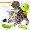 MALLMALL6 5Pcs Pickle Cat Toys, Kitten Catnip Toys for Cat Lover Gifts, Indoor Cat Chew Bite Kick Plush Cucumber Catmint Kitten Toys Supplies Interactive Cat Toy with Cute Expression for Pet Presents