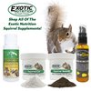Squirrel-Cal 3.5 oz. - Ultra-fine Powdered Calcium Supplement - for Pet Squirrels