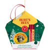 Burt's Bees Lip Balm and Hand Salve Gift Set, A Bit of Burt's Bees, Cranberry Spritz, 1 Gift Set, 0.15 oz./0.3 oz.