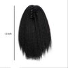 zaoalife 12 Inch Claw Clip Ponytail Extensions,Thick Kinky Straight Ponytail Extension,Ponytail Extension Drawstring Ponytail for Black Women