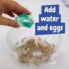 Science4you Artemias Aquatic Sea Creatures (Triops Family) - Grow Your Own Water Dragons Kit, Aqua Eggs Included, Science Kit for Kids Age 6 7 8+, Science Game, Toy and Gift for 8+ Boys & Girls