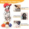 LLSPET 2.4" Squeaky Latex Dog Toy Ball Sports Balls Sets, Soft, Bouncy & Durable for Small Medium Dogs Puppy Interactive Chew Toys 5 Pcs/Set