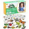 Life Cycle Science Kit Montessori Realistic Figurine, Kids Animal Matching Game with Frog, Ladybug and More Includes 24-Piece, Fun Learning Education Toys Stocking Stuffers for Children 3 4 5 6 7 8