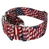 Country Brook Petz - Patriotic Tribute Martingale Dog Collar - Americana Collection with 4 Patriotic Designs (1 1/2 Inch, Medium)