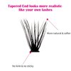 Lash Clusters Individual Lashes Cluster Mixed Tray D Curl Lash Clusters DIY Eyelash Extensions Individual Cluster Lashes Self-application at Home (40P-0.07D,8-16mm)