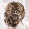 Catery Flower Bride Wedding Hair Pins Crystal Pearl Hair Set Jewelry Headpieces Bridal Decorative Hair Accessories for Women Pack of 2 (Gold)