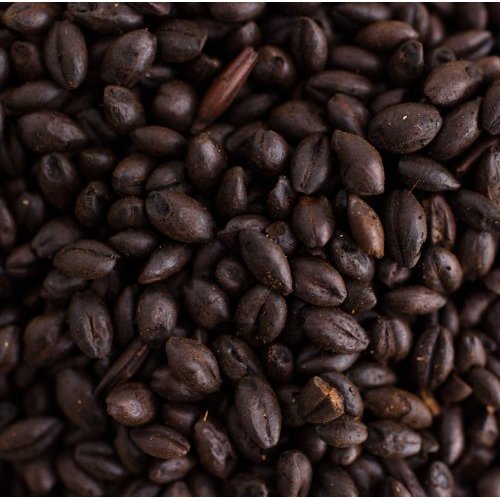 Briess Black Malt 2-Row Home Brewing Malt Whole Grain 1lb Bag