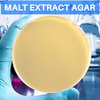 Malt Extract Agar Plates - Evviva Sciences - Great for Mushrooms, Molds, Fungus - 10 Prepoured MEA Petri Dishes - Also Great for Science Fair Projects!