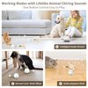 Liucria Interactive Cat Ball Toy, Motion Activate Rolling Ball Toys for Indoor Cats With Feather Toy LED Light Smart Sounds, Type C Rechargeable Stimulate Hunting Instinct Kitten Chaser Pet Toy (Gray)