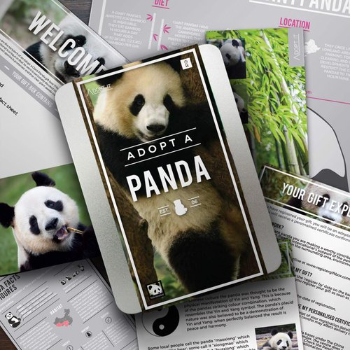 Gift Republic Adopt a Panda Gift Box