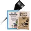 Colora HENNA POWDER Natural Organic Haircolor, Hair Color Dye Conditioner & Thickener with Plants, Water, and No Chemicals (w/Sleek Brush) 2 oz. (Apricot Gold - 2 oz)