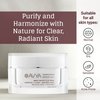 AVYA Hydroveda Essentials Daily Detox Clay Mask (1.7oz) - Bentonite Clay Treatment for Blemishes & Calming Camphor for Inflammation/Remove Impurities and Cleanse Pores