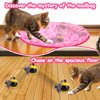 Mity Rain Cat Interactive Toys for Indoor Cats, Self Rolling Ball Cat Ball Toy in Play Mat Pouch, Remote Control Smart Automatic Cat Ball with Music Kitten Adult Cat Hide and Seek Hunting Boredom Toys